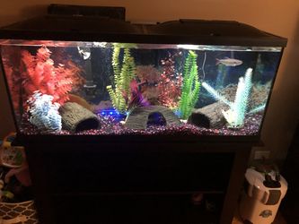 55 GAL AQUARIUM WITH CANNISTER/STAND ALL ACCESORIES