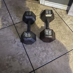 25lbs dumbbells