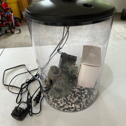 Fish Aquarium