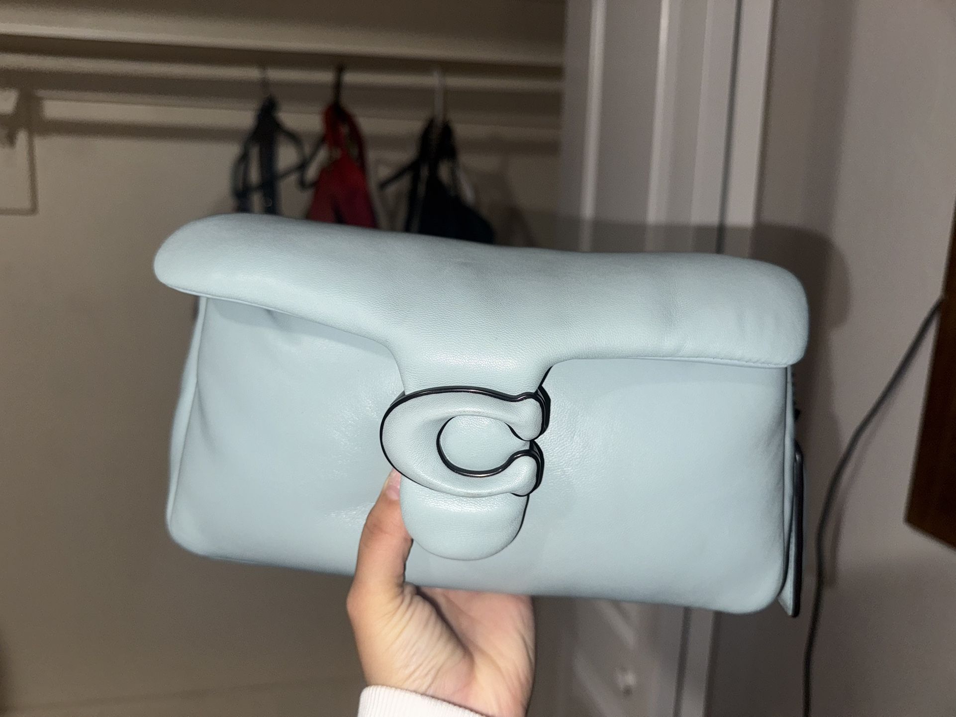 Coach Light Blue Tabby 