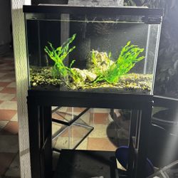 20 Gallon Aquarium Fish Tank 