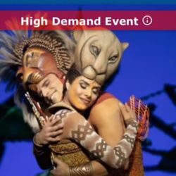 The Lion King Broadway Musical 4 Tickets