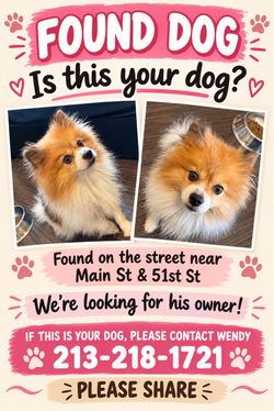 Pet supplies
