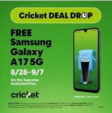 Cricket