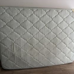 Medi-Pedic 4000 Queen Mattress by Cannon Sleep Products
