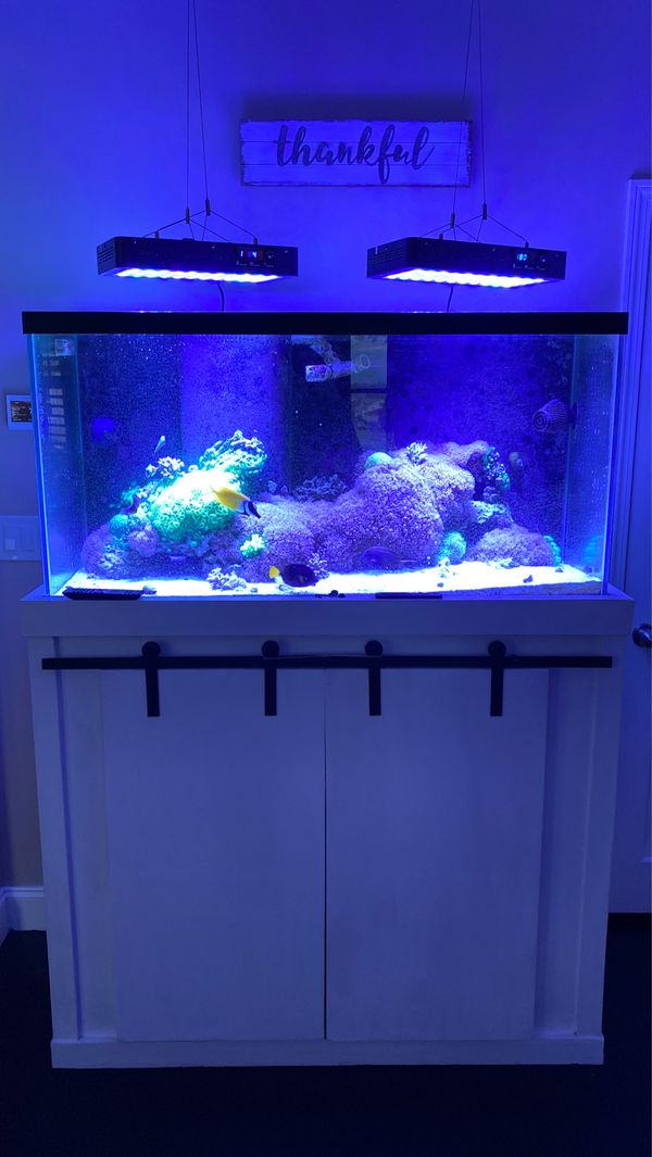 90 gallon saltwater tank with fish and equipment for Sale in Fall River