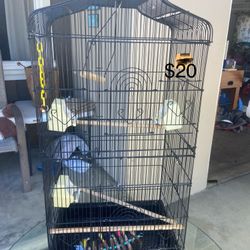 Bird Cage 