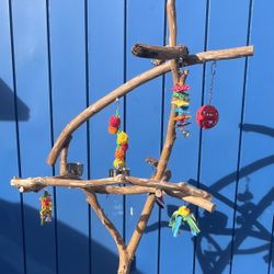 Parrot Perch Tree- Dual Level Model On A Compact Base- Fits Almost Anywhere And  Looks Great!!