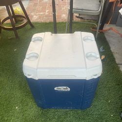 Cooler