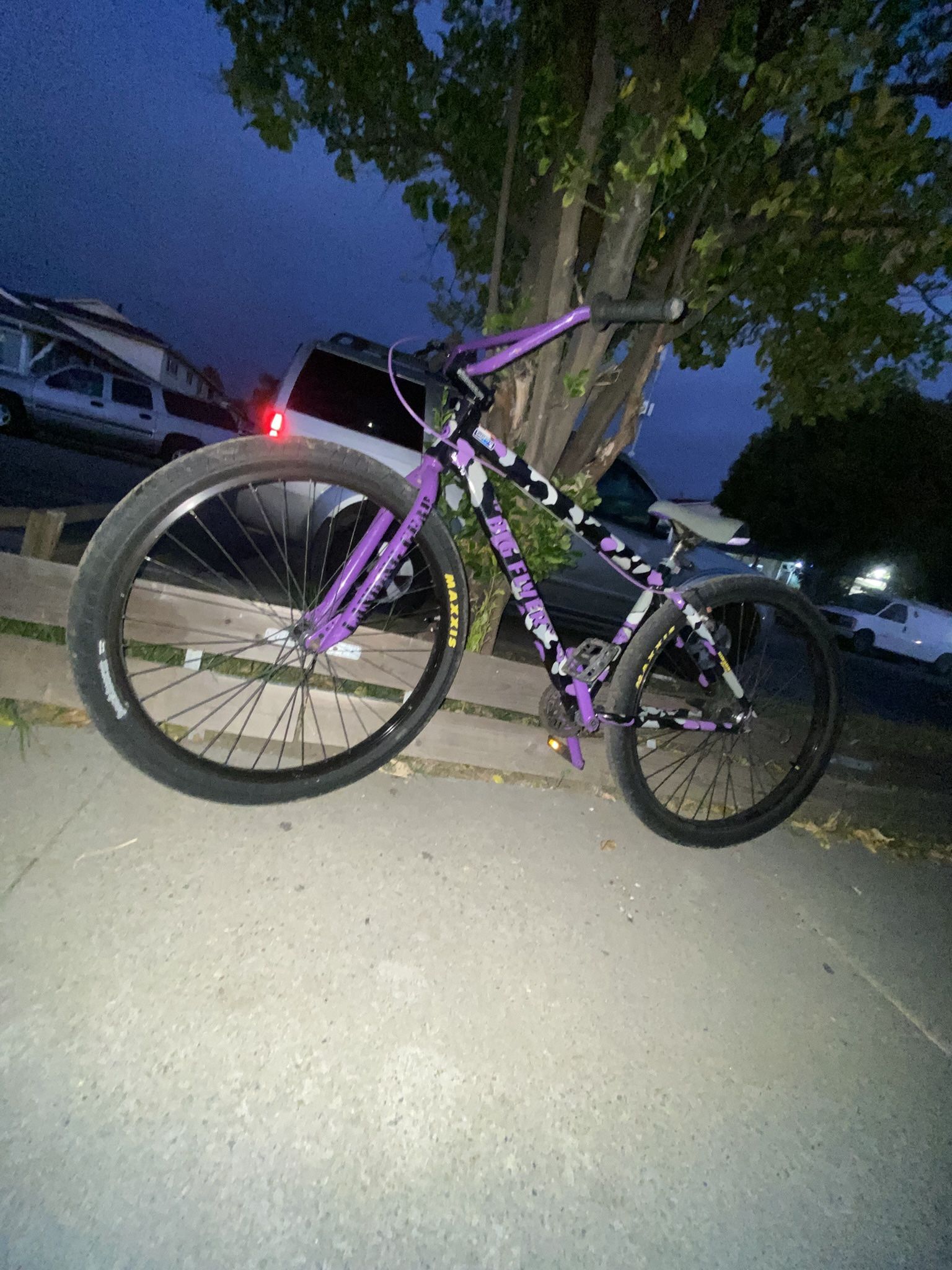 Se Bikes “Big Flyer” 29 In Maxxis Tires