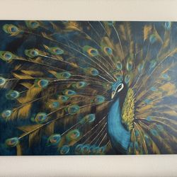Vibrant Peacock Canvas - 50” X 70”