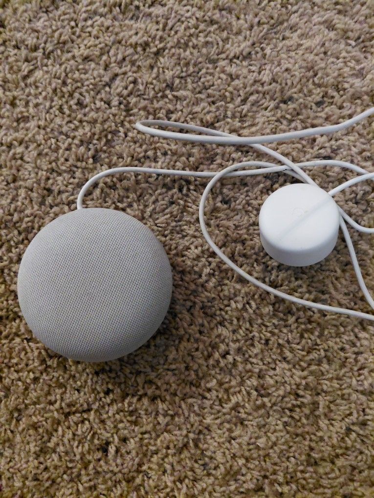 Google Nest Mini