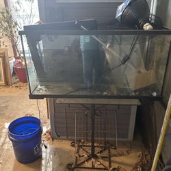 Reptile Aquarium With Heat Lamps heat Rocks 