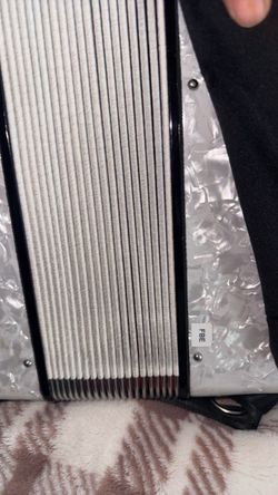 Accordion with Pearl White Body