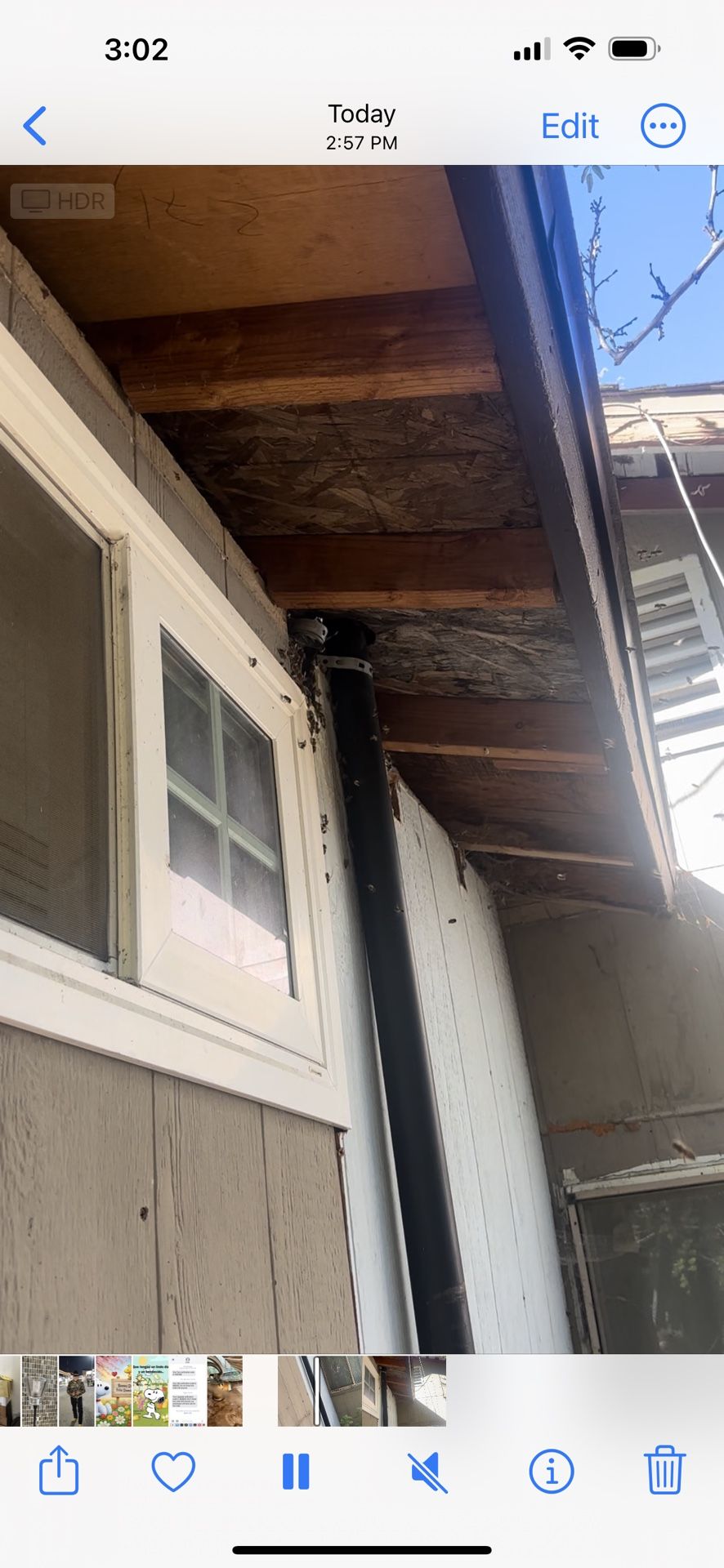 Bee Hive Free