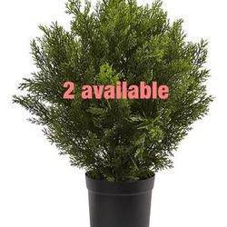 Nearly Natural 2ft. Cedar Artificial Bush (Indoor/Outdoor)