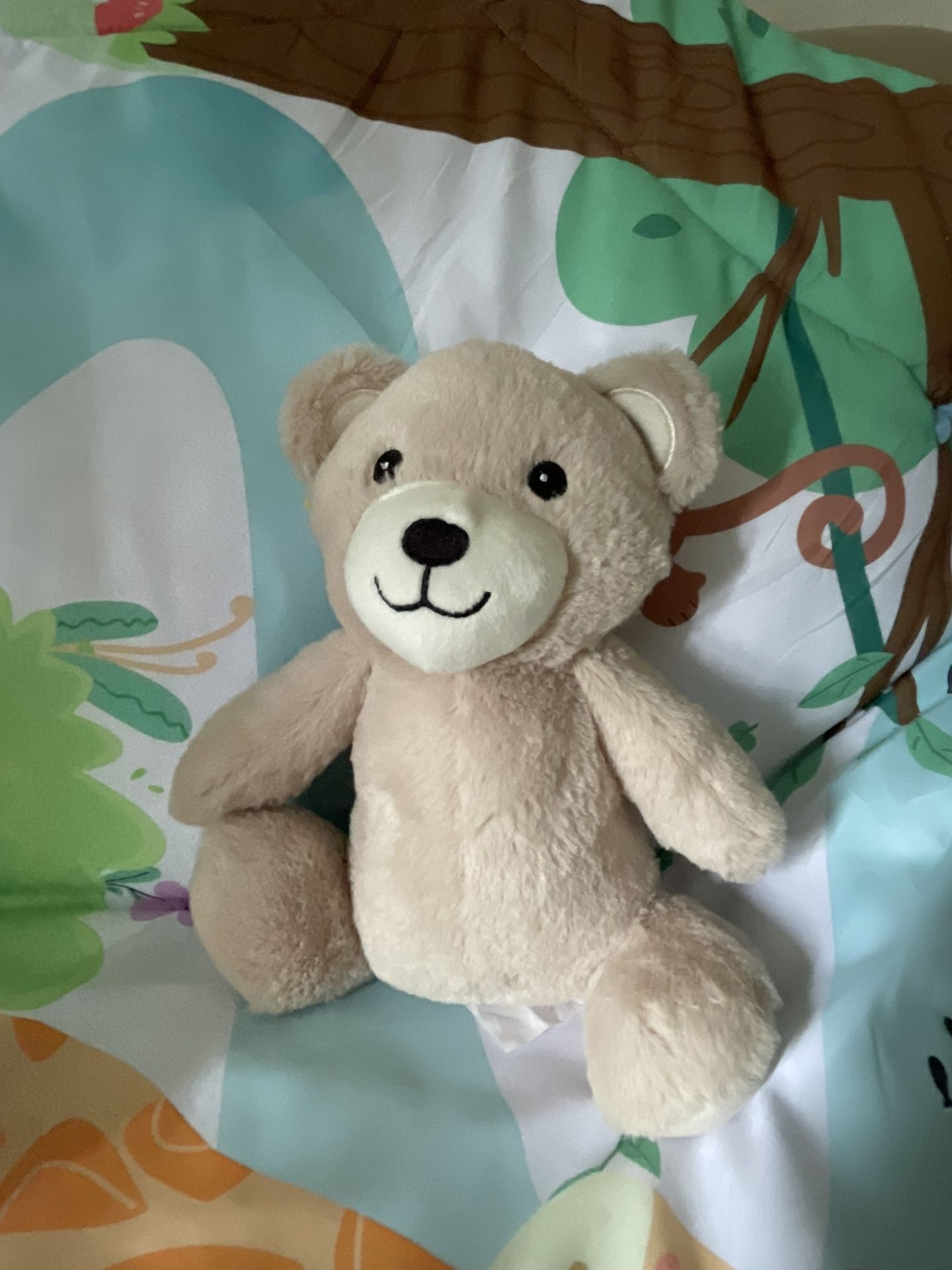 Teddy Bear