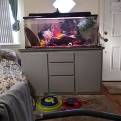50 Gal  Fish tank With Granite Base & Built In Electrical  Outlet