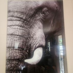 Elephant Tempered Glass Art 