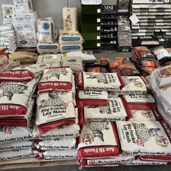 Big Feeder Lay Mash, Crumble And Pellets For Hens 