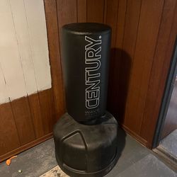 Punching bag