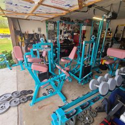 Flex Fitness Rare Commercial Gym Equipment 