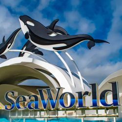 Sesame Place San Diego Sea World 