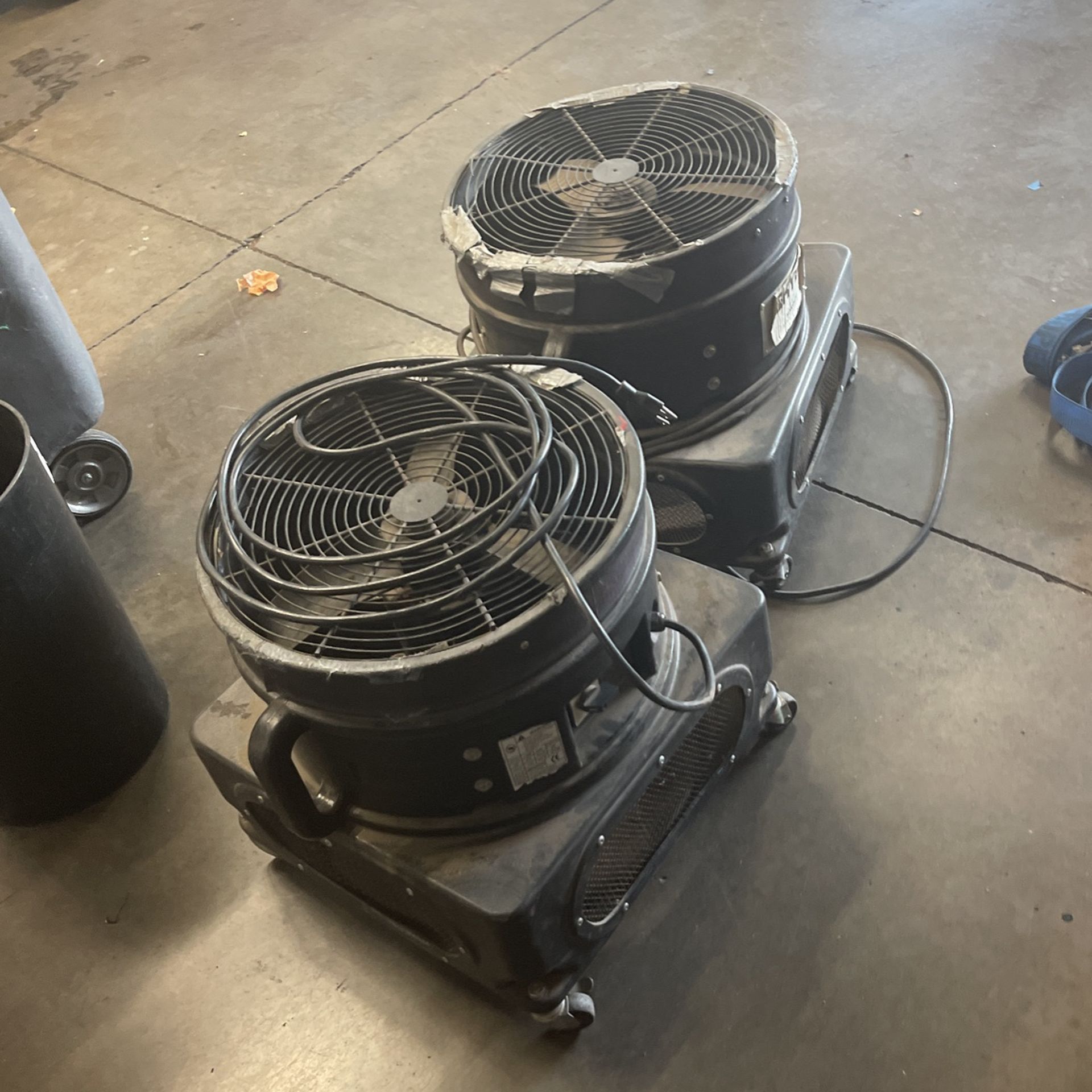 Noodle Man Advertisement Fans