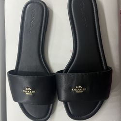 Coach Sandals 