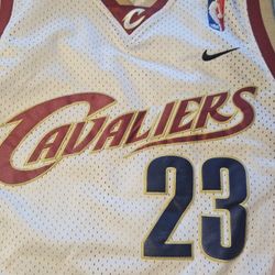 Nike Stitched Large (+2) Rookie LeBron James Jersey (used) (good condition)