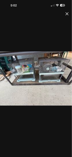 Hamster cages