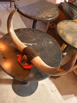 Bull Horns