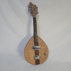 Electric MANDOLA 