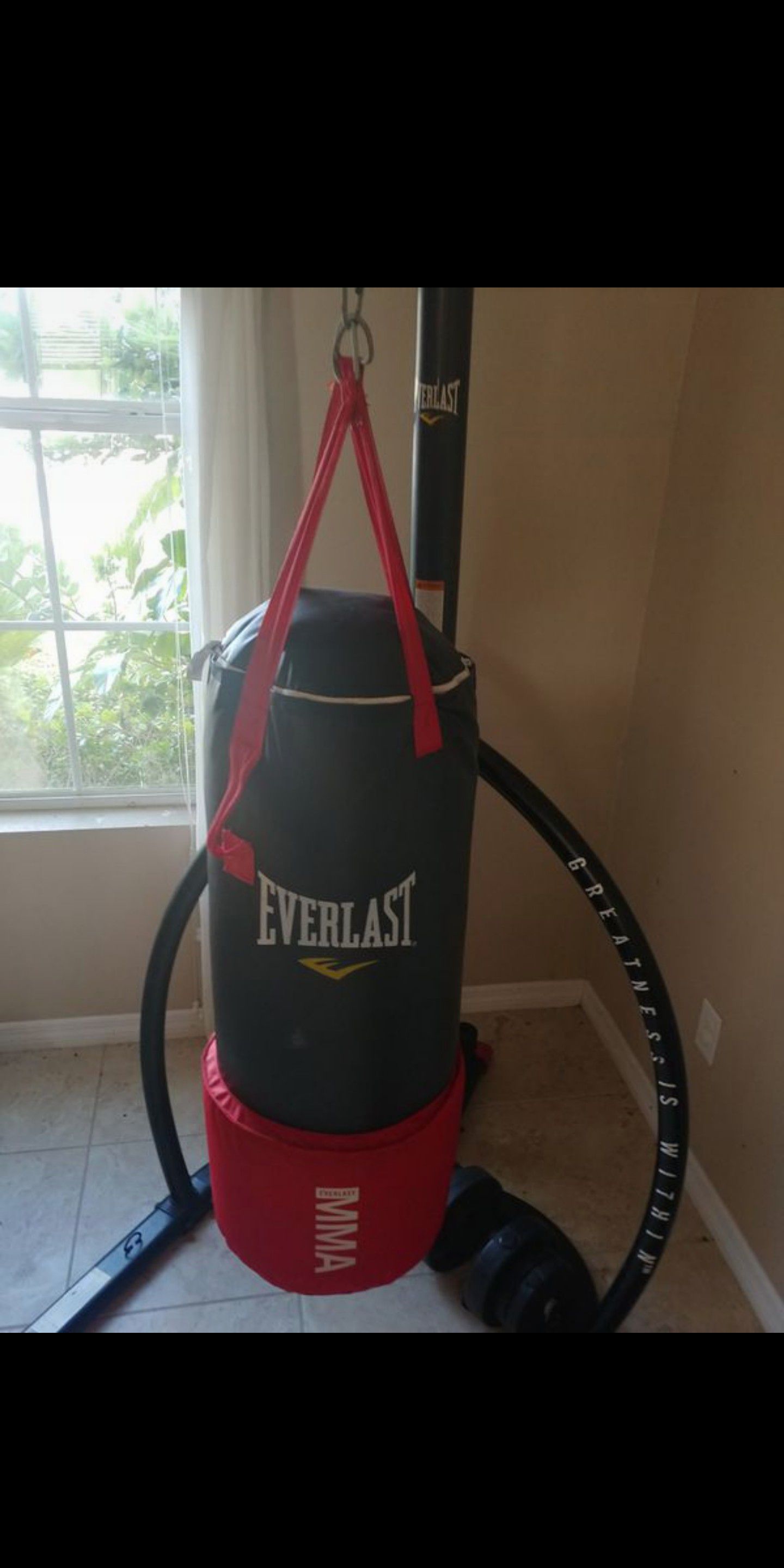 Everlast MMA punching bag with pull up station and Home Gym (Bench Press+Dumbbells) with weights