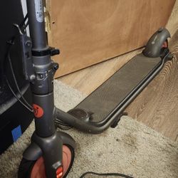 Electric Scooter Adult Size