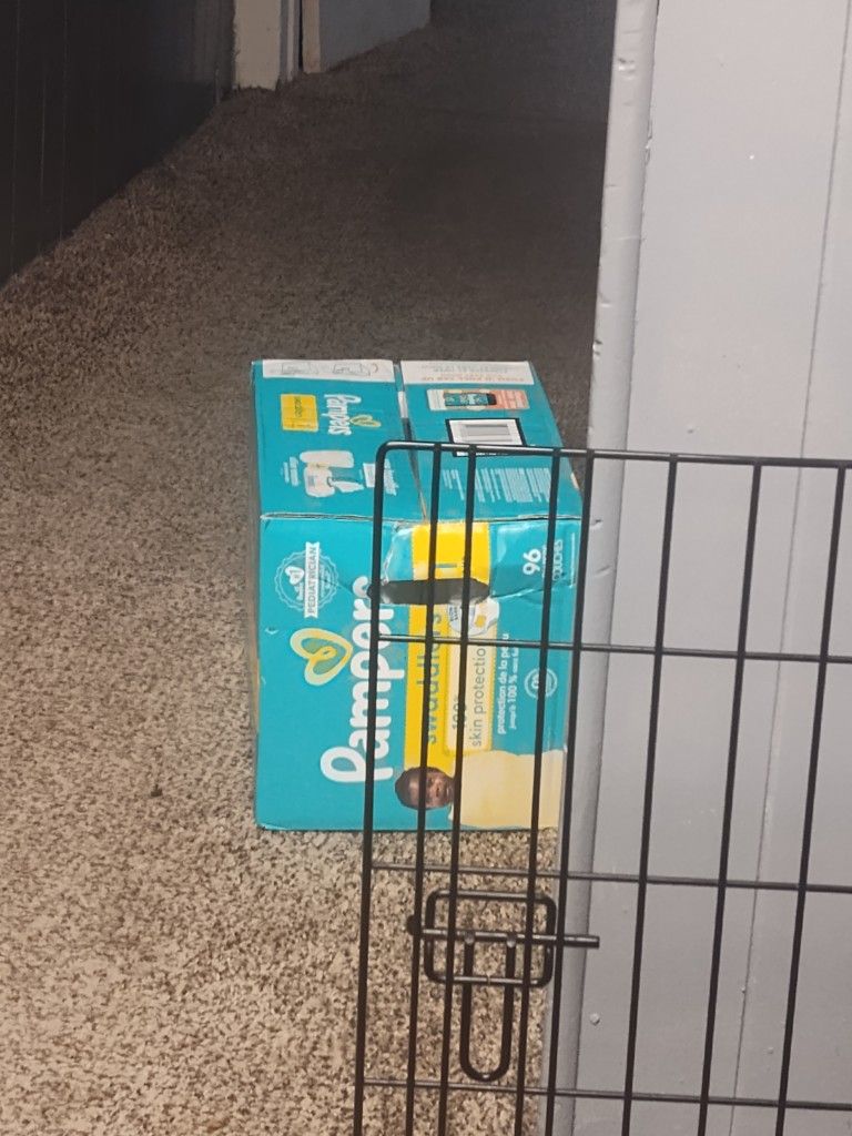 Size 1 Pampers Diapers