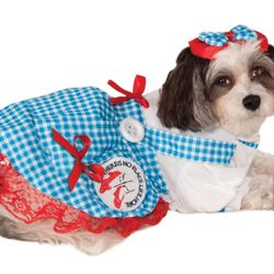 Dorothy Wizard of Oz/ Wicked Costume for Dog/Cat. Small/medium.