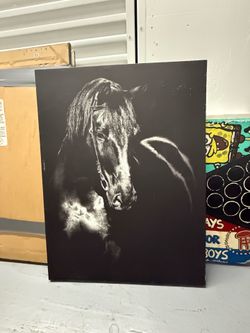 Photo of a back horse
