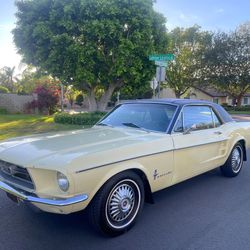 1967 ford mustang V8