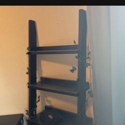Ladder Shelf
