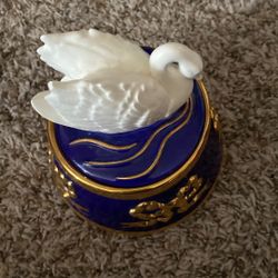 A Beautiful Nice Musical Dove 