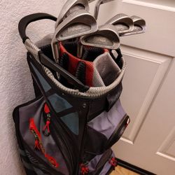 Left-Handed Ping Karsten #3-9 Golf Club Iron Set & Golf Bag