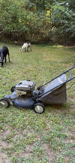 Murray Self-Propelled Lawnmower