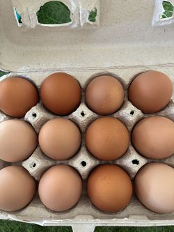 Farm fresh free range eggs