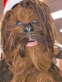 Star wars Chewbacca animatronic