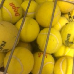 120 Used Tennis Balls