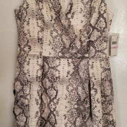 Nwt Julia Jordan Dress Size 6