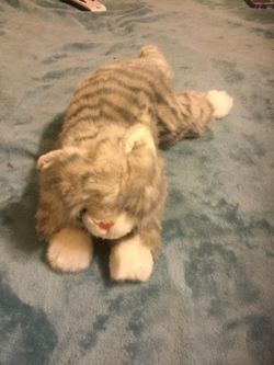 Old Ty cat dated 1988