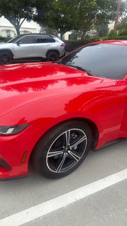 2024 passenger side fender
