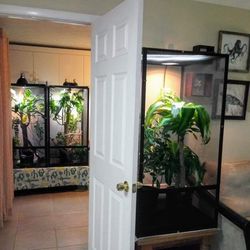 Chameleon Cage With Lights